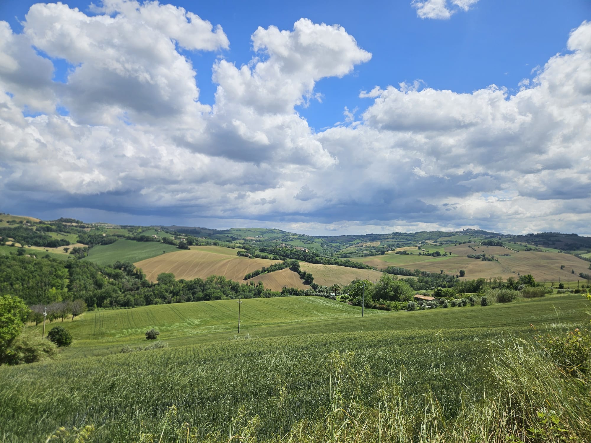 Orsini photo 3