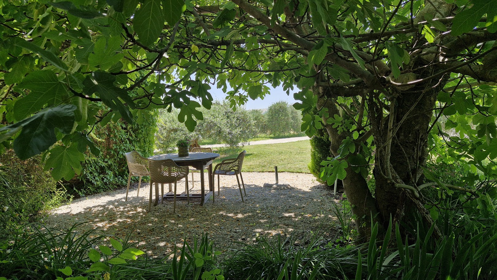 Raffaello photo 3